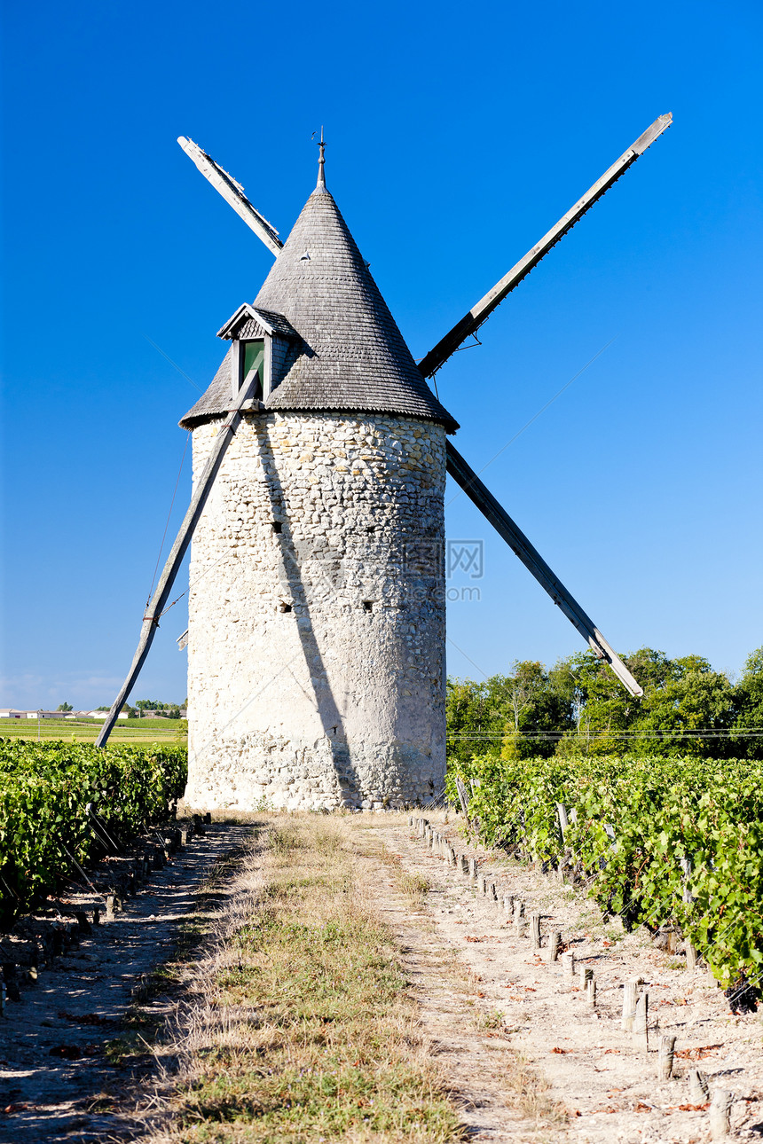 法国波尔多州Blaignan附近有葡萄园的风车乡村植物地区藤蔓种植建筑作物旅行建筑学酒业图片