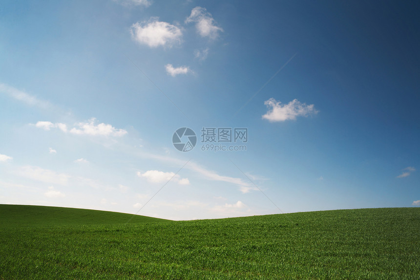 绿草地乡村植物生活地平线阳光绿色土地牧歌蓝色季节图片