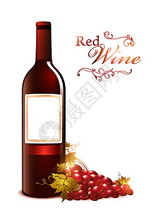 红酒葡萄园红酒瓶加葡萄红色水果酒厂饮料藤蔓叶子空白浆果紫色产品插画