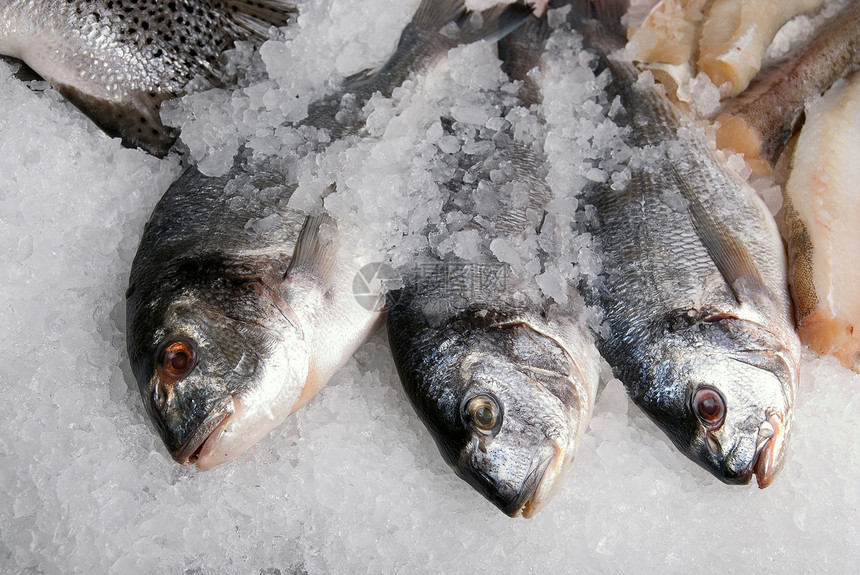 多角鱼钓鱼海鲜市场美味冰镇海洋美食淡水尾巴营养图片