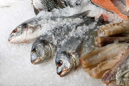 市场上的鱼眼睛销售大部分海洋钓鱼海鲜美食营养尾巴淡水抓住高清图片素材
