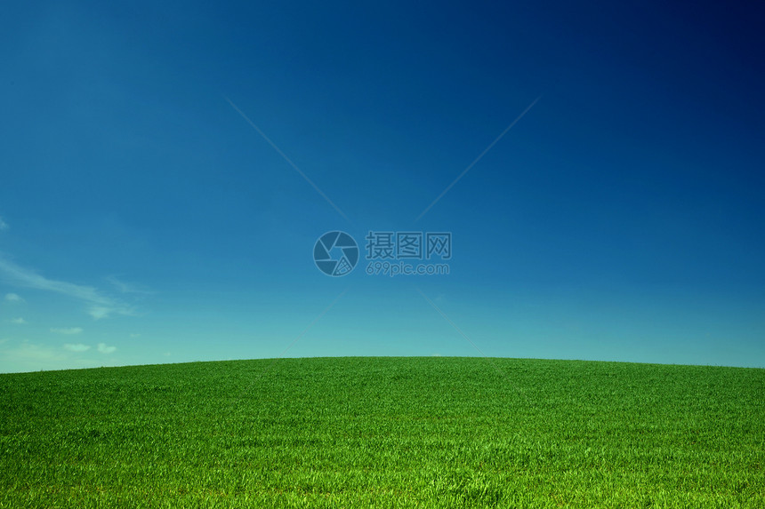 草地丘陵蓝色土地小麦绿色植物牧场生活季节乡村图片