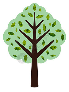 树树说明插图分支机构卡通片树叶背景图片