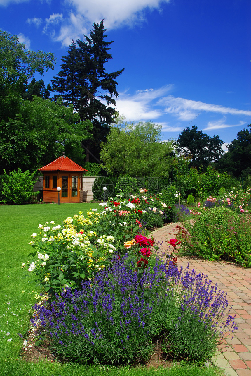 园中有玫瑰花植物玫瑰郁金香人行道凉亭灌溉房子薰衣草小路蓝天图片