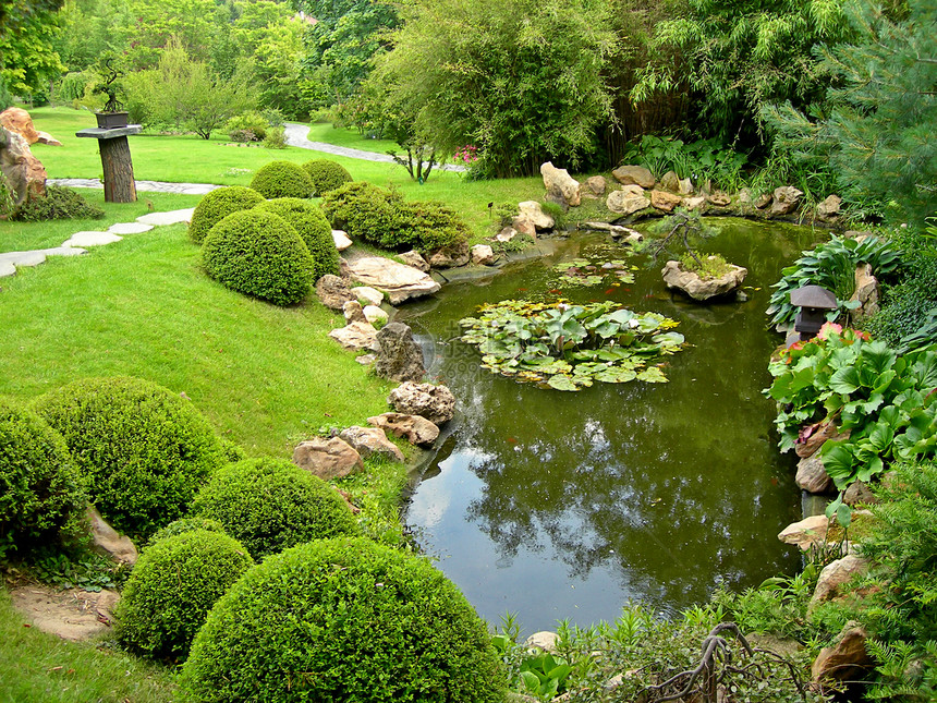日本花园和池塘玫瑰公园郁金香园艺绣球花园丁石头草地植物生长图片