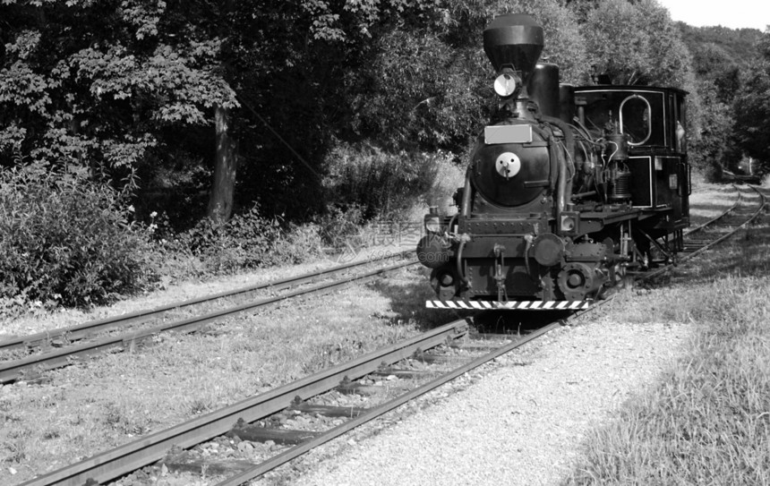 旧列车煤炭机车白色技术旅行古董运输灰色蒸汽火车图片