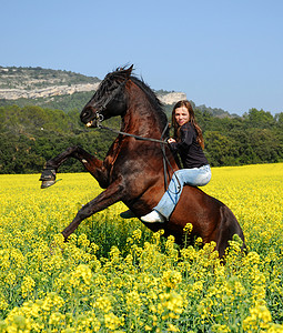 养马女士舞步危险黄色运动动物黑色蓝色花朵骑马背景图片