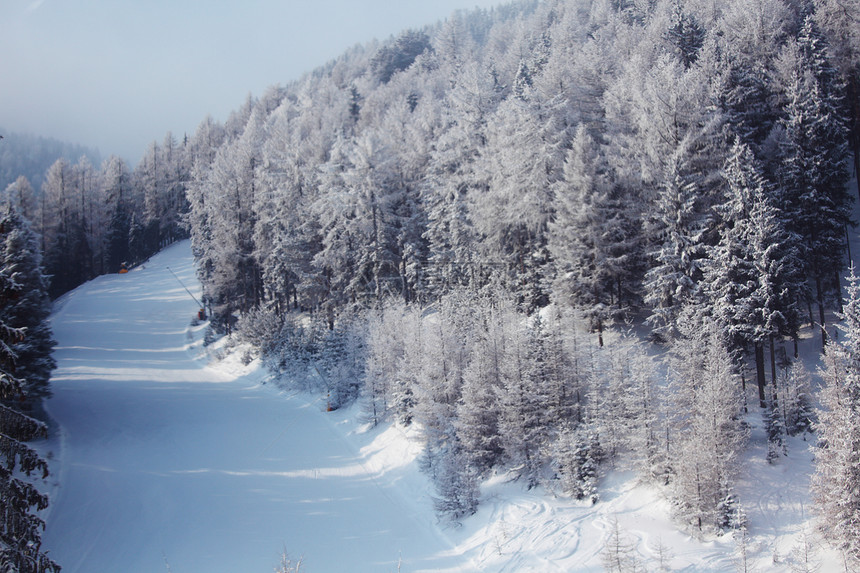 积雪中的森林童话木头降雪公园旅行暴风雪全景环境气候首脑图片