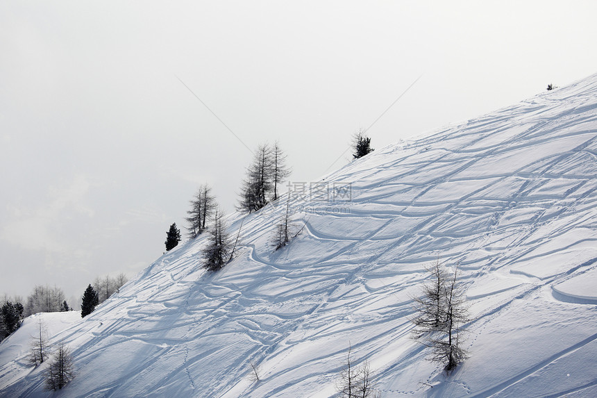 雪上滑雪痕迹路线曲线踪迹小路探索娱乐季节森林冻结运动图片
