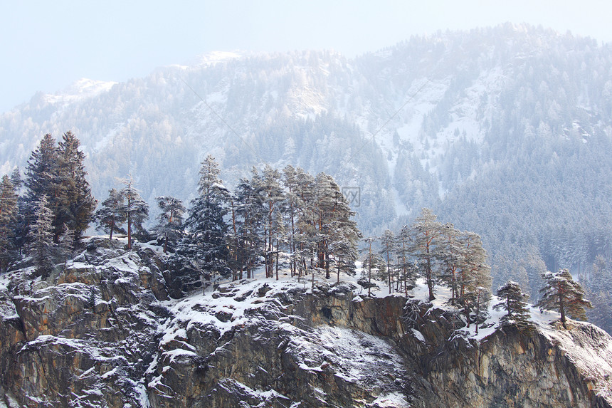 下雪树上季节首脑暴风雪太阳照明木头假期全景旅行高地图片