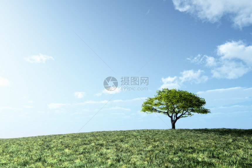 孤独的树天气场地季节木头天空阳光草地农村土地植物图片