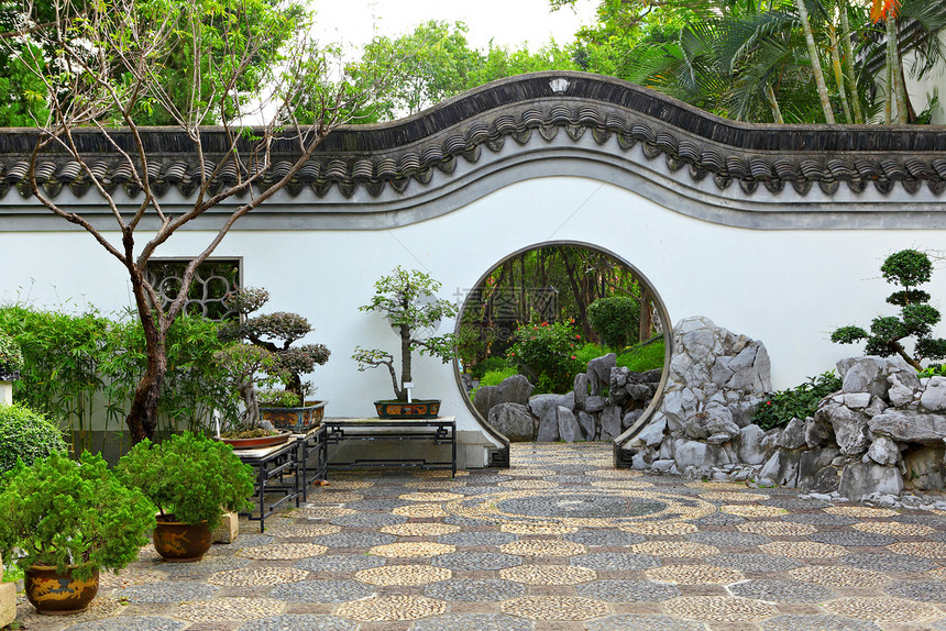 中国风格的花园分支机构生长寺庙公园文化松树园艺树木艺术环境图片