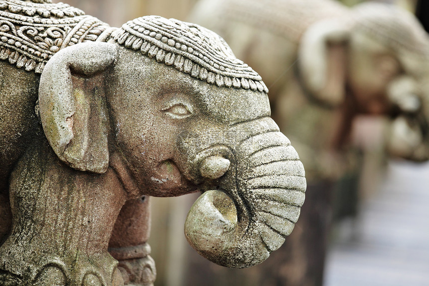 石象雕像雕塑文化哺乳动物宗教荒野石头寺庙岩石工作皮肤图片
