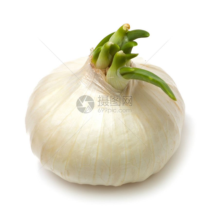 孤立的单白洋葱美食香料食物植物灯泡白色蔬菜杂货图片