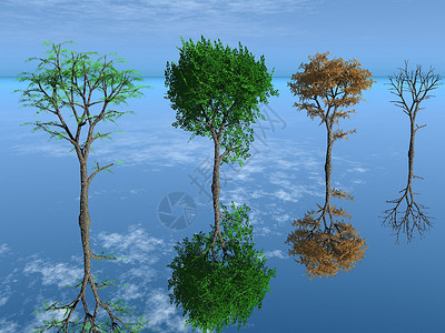 四季树树叶树木插图天空木头艺术环境季节性树干绿色背景图片