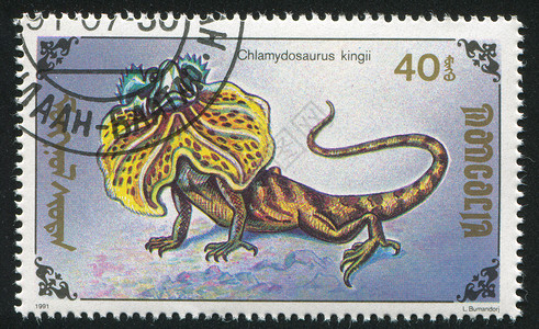 察瓦龙蜥蜴历史性尾巴明信片邮戳动物集邮脊椎动物信封邮资野生动物背景