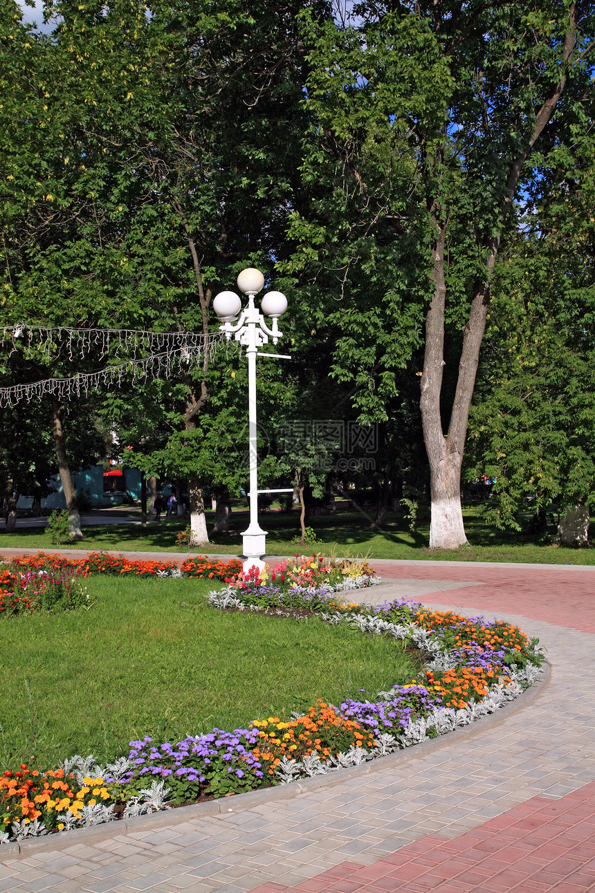 夏季镇公园花卉图片
