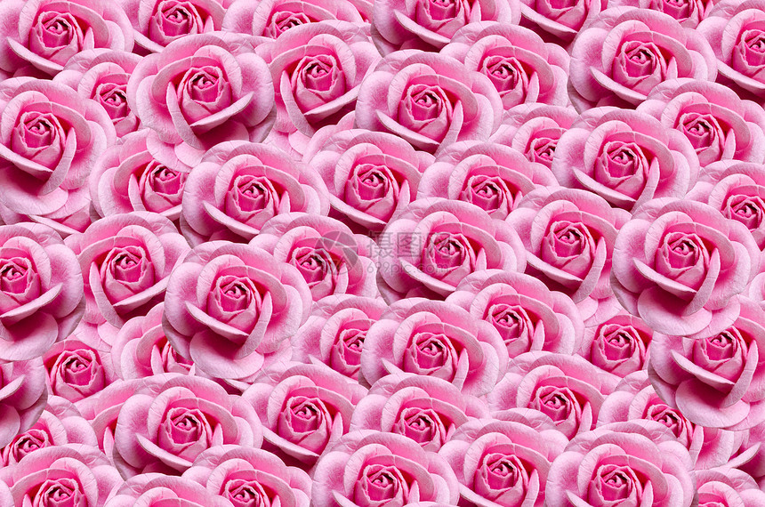纸向下粉色美丽装饰墙纸风格玫瑰创造力女性图片