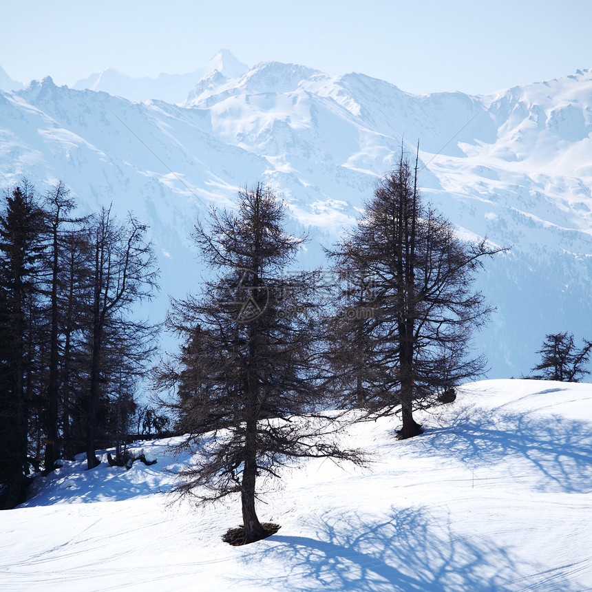 山上有高山旅行太阳暴风雪顶峰冰川天空蓝色滑雪高度全景图片