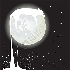 月球猫月光睡眠星星白色黑色背景图片