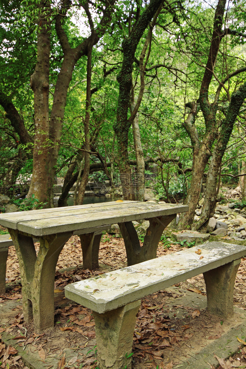 森林中的恶劣地点季节场地休息叶子公园草地椅子空地奢华长椅图片