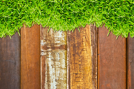 木本绿色绿草叶子运动场景高尔夫球框架网球飞机农田场地木头背景图片