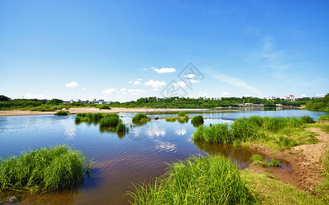 基洛夫平静河树叶生态荒野蓝色公园森林草原照片景观旅行背景