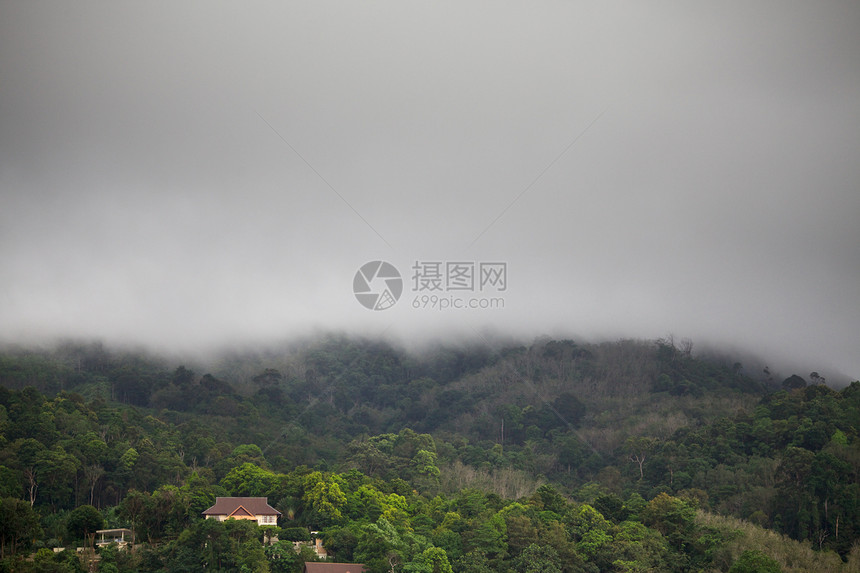 雨下森林房屋植物群天空平房远足蓝色照片薄雾雨量国家图片