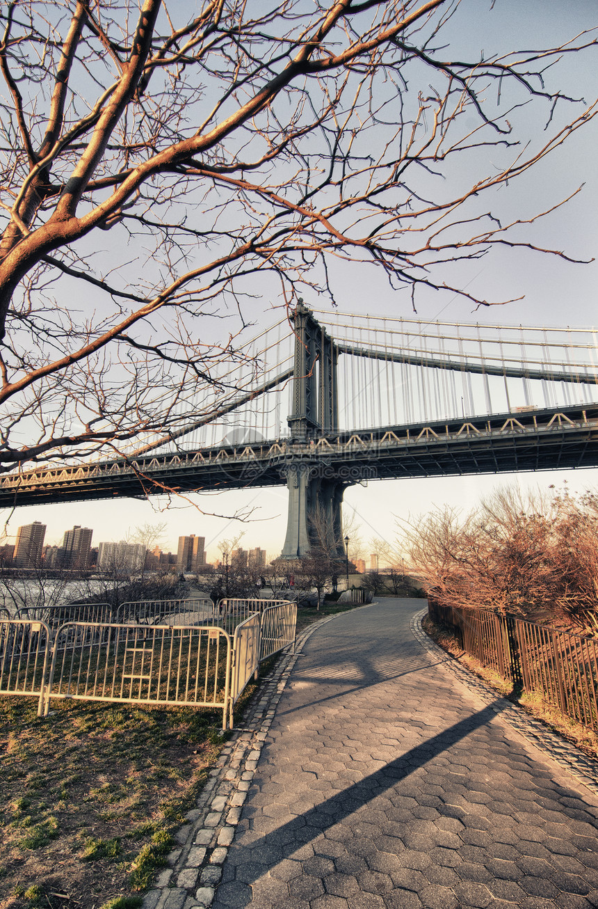 曼哈顿连树桥详情 纽约市图片