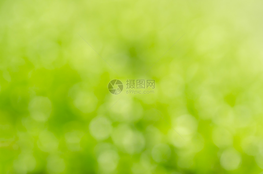绿苔色模糊背景图片