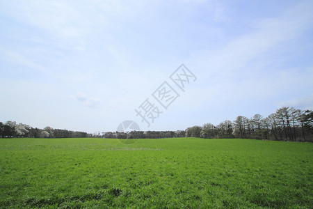 草地和蓝天空草原蓝色绿色场地阳光天空太阳季节背景图片