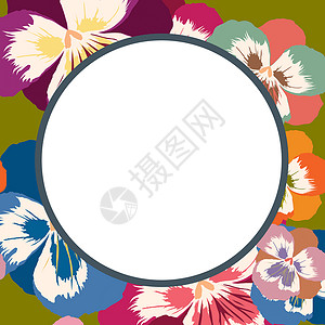 花框框架插图植物群杂色明信片花瓣背景图片