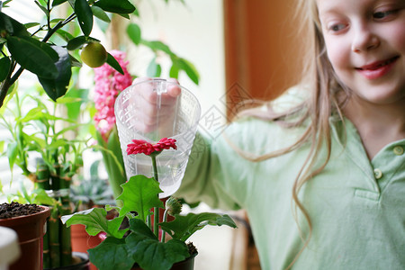 快乐的女孩绿色童年女性植物生长孩子花园叶子园艺粉色家高清图片素材