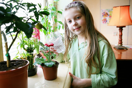 霍比快乐绿色叶子幸福童年植物粉色花瓣女孩花园花的高清图片素材