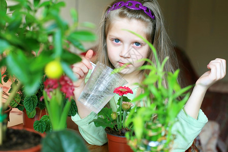 女童女孩花园叶子生长女性花瓣快乐幸福植物园艺粉色花的高清图片素材