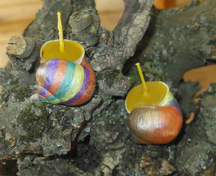 在蜗牛壳上手工涂画的蜜蜂蜡烛绘画还愿者灯芯棉布蜗牛图片