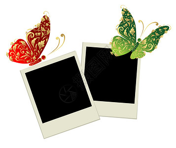 蝴蝶组合相框两幅有蝴蝶装饰的相框边界绘画回忆翅膀框架照片庆典专辑卡片插图插画