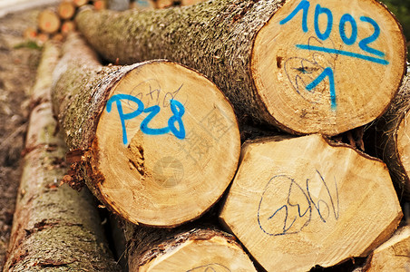 木材木材库存木头木匠森林加热材料工作活力圆形背景图片