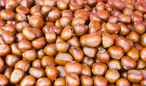 栗子浆果松果坚果市场空间饮食维生素生活锥体食物背景图片