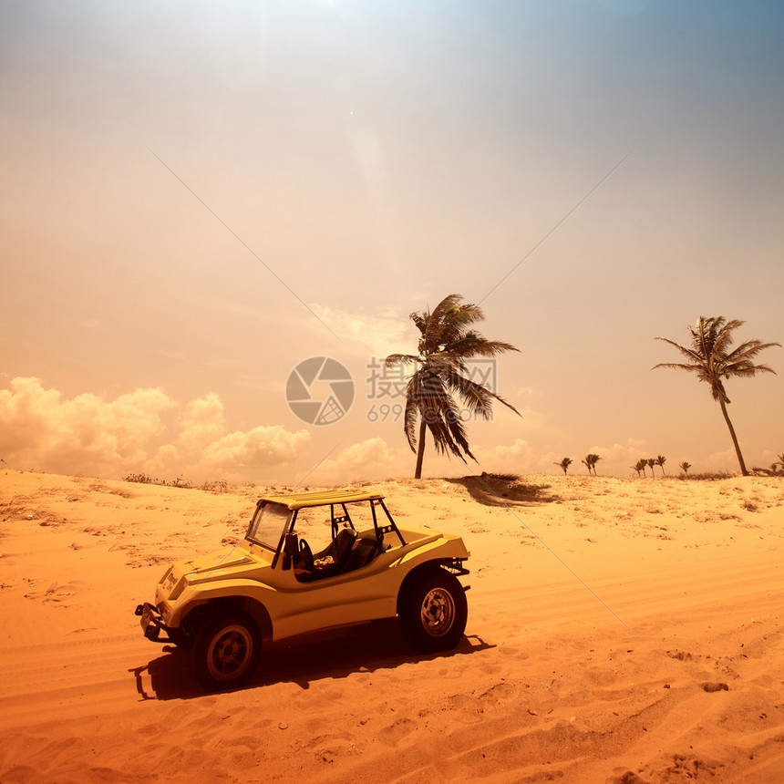 沙漠昆虫沙丘驾驶旅游太阳车轮控制引擎游戏海滩晴天图片