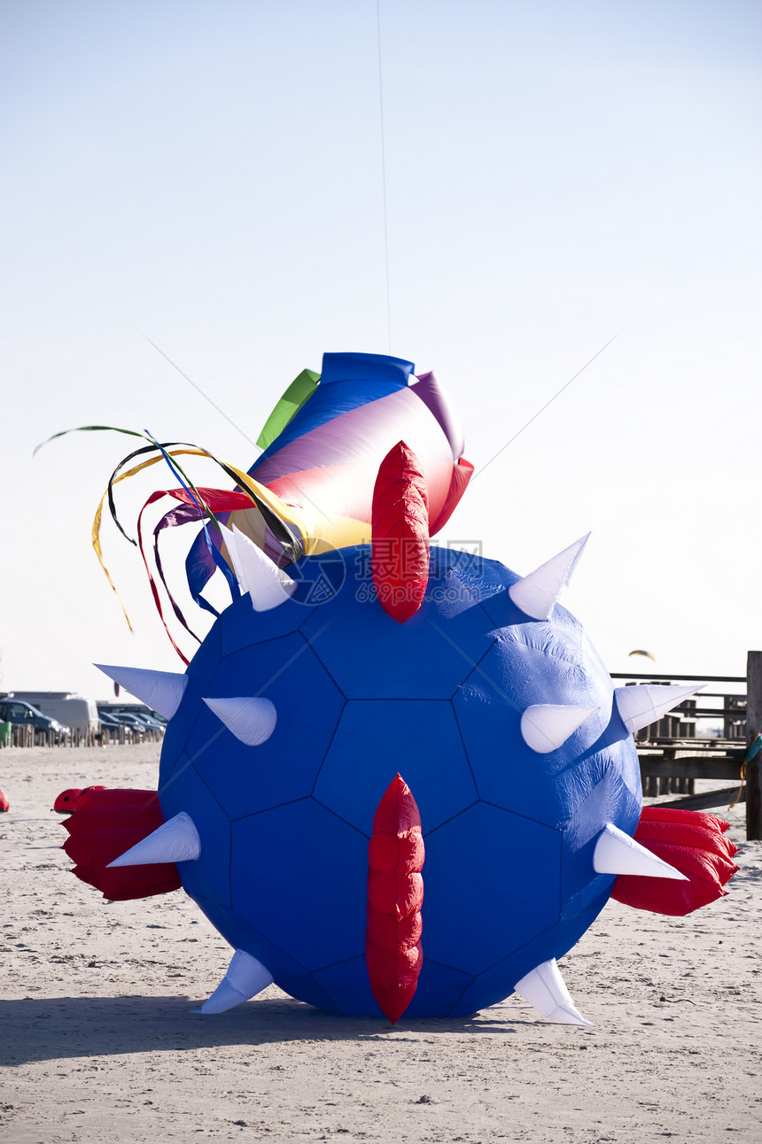 Kite 键飞行假期鸭子天空运动闲暇海岸海滩风筝玩具图片