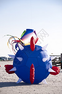 风筝节Kite 键飞行假期鸭子天空运动闲暇海岸海滩风筝玩具背景