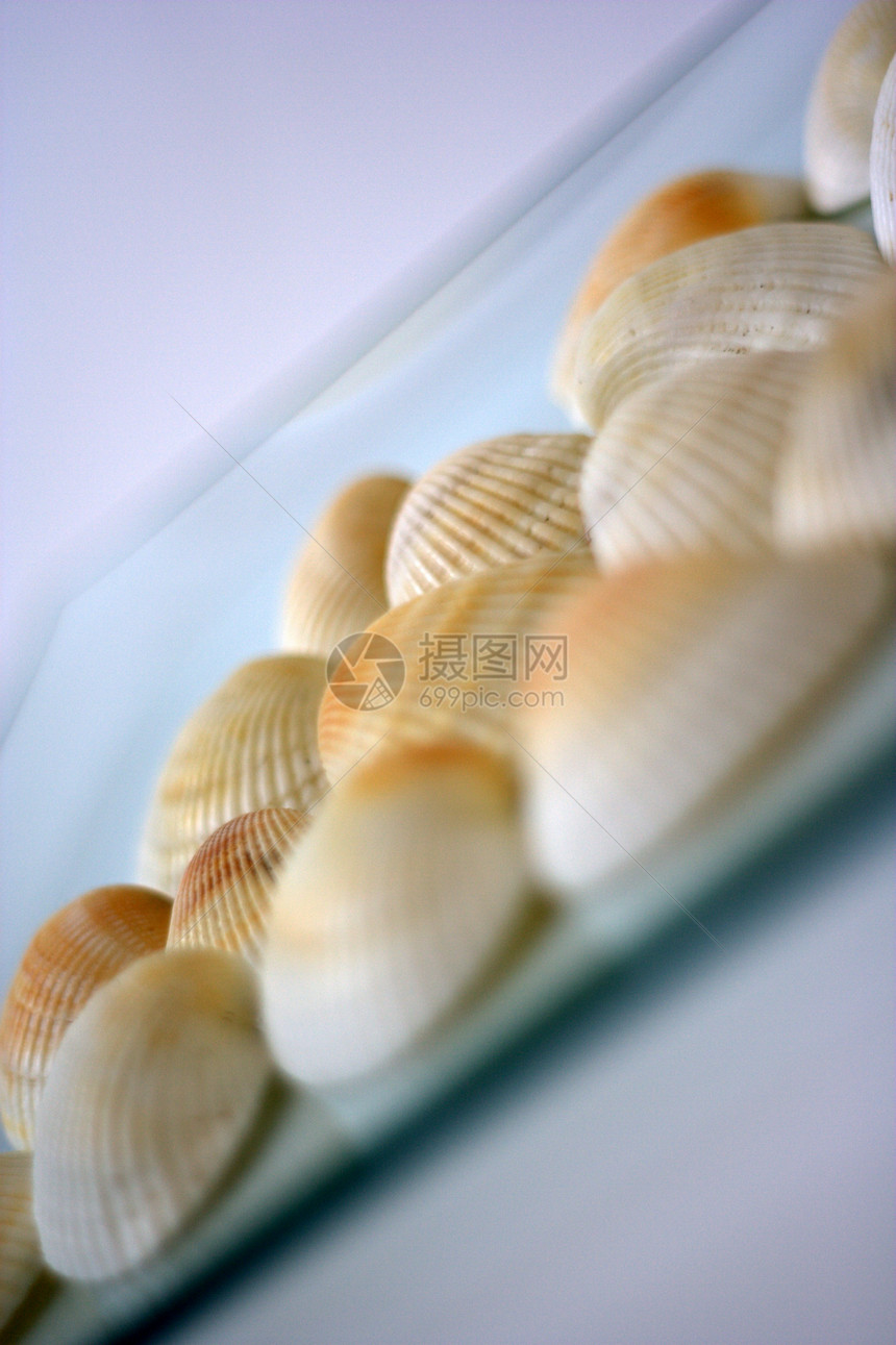 贝壳和扇贝烹饪贝类海洋美食艺术家盘子营养餐厅市场午餐图片