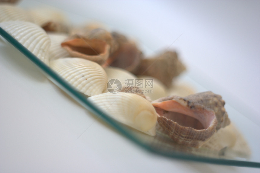 贝壳和扇贝烹饪盘子海洋午餐餐厅营养贝类白色市场美食图片
