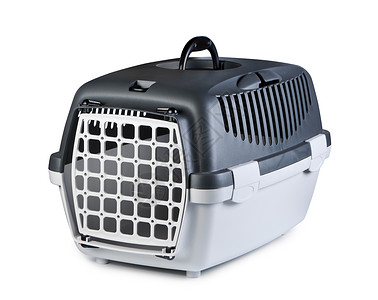 花箱与猫宠物箱运输白色宠物盒子运输车猫科塑料动物犬类灰色背景