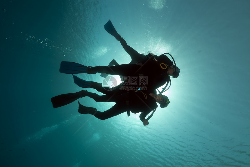 红海的Scuba潜水员珊瑚射线海景植物潜水阳光盐水异国生活太阳图片