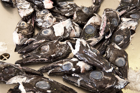 马 提拉拖网蚜虫骨头食物鱼骨渔业营养市场钓鱼鱼片背景图片