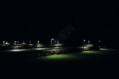 夜里美丽的公园背景图片