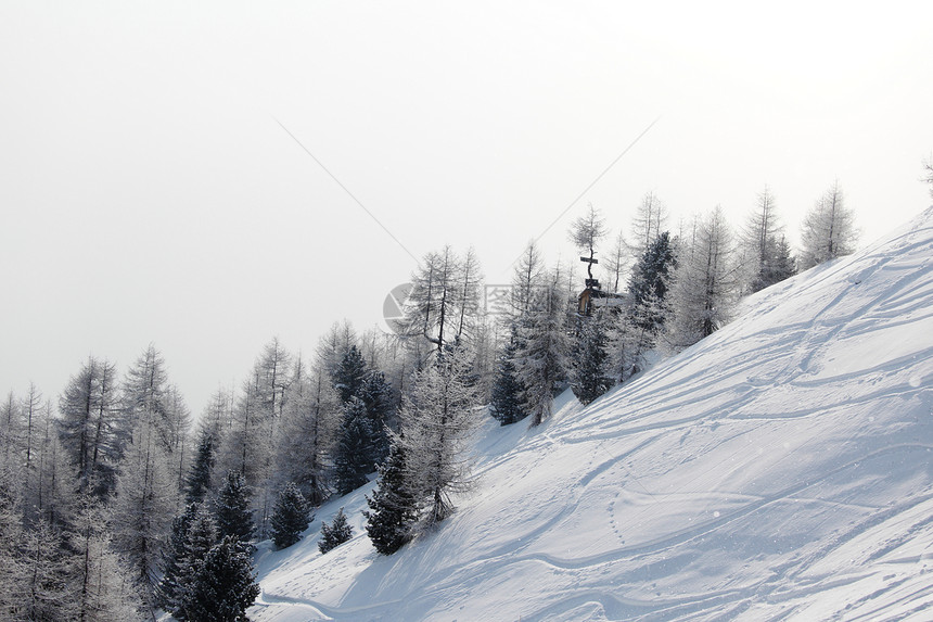雪上滑雪痕迹粉末森林小路探索云杉运动蓝色路线踪迹曲线图片