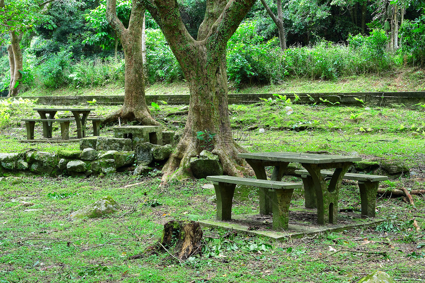 森林中的恶劣地点椅子森林花园长椅假期奢华旅行太阳草地植物图片